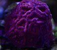 IMG_4733.jpeg