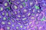 IMG_4713.jpeg