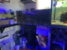 IMG_4271.jpeg