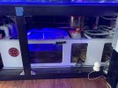 IMG_4276.jpeg