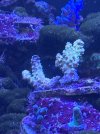 IMG_4280.jpeg