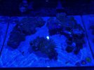 IMG_0695.jpeg IMG_0695.jpeg