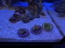IMG_0696.jpeg IMG_0696.jpeg
