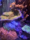 IMG_3188.jpeg