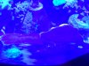 IMG_4164.JPG