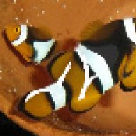 fishtal