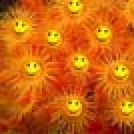 Smiley1