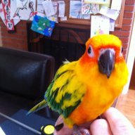 Franko