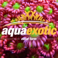 Aqua Exotic