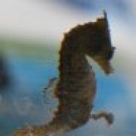 Tiny_Fuzzy
