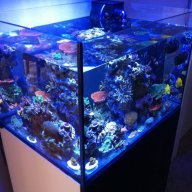 livingwaterplanet