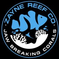 Zaynereefco