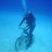 DivingTheWorld