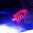 ReefLover925